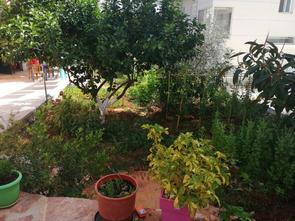Helen'S House Apartment Ksamil Bagian luar foto